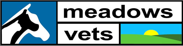 Meadows Vets