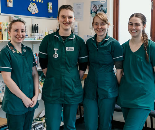 Vet nurses at meadows vets